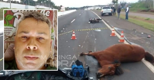 Motociclista morre após moto bater em cavalo solto na pista no Norte do Paraná