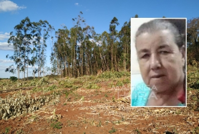 foto de Fatalidade - Idosa morre após ser atingida por galhos de eucalipto na região