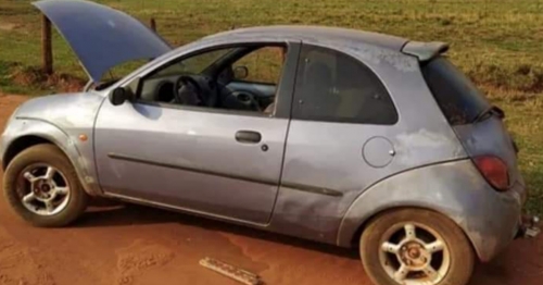 Vaca é encontrada dentro de carro abandonado na zona rural no Noroeste do Paraná