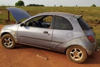 foto de Vaca é encontrada dentro de carro abandonado na zona rural no Noroeste do Paraná