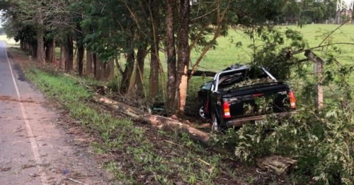 Adolescente de 16 anos morre após bater caminhonete em árvore no Norte do Paraná