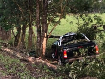 foto de Adolescente de 16 anos morre após bater caminhonete em árvore no Norte do Paraná