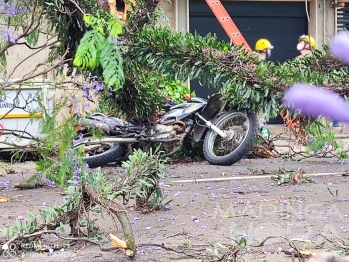 foto de Parte de árvore cai em cima de motociclista de 44 anos no centro de Maringá