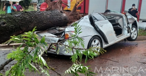 Dois jovens ficam feridos depois de árvore cair em cima de carro em Maringá