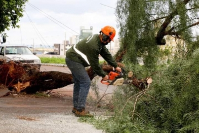 foto de Mais de 500 chamados: Prefeitura trabalha para restabelecer a normalidade em Maringá