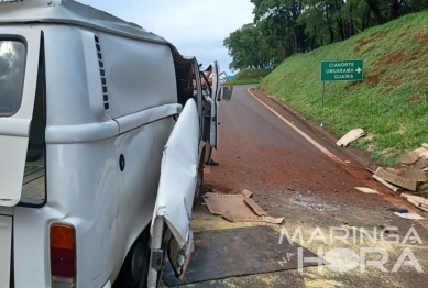 foto de Capotamento termina na morte de vários pintinhos em acidente na região