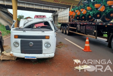 foto de Capotamento termina na morte de vários pintinhos em acidente na região