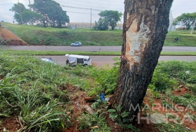 foto de Capotamento termina na morte de vários pintinhos em acidente na região