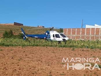 foto de Fatalidade - Homem morre enquanto trabalhava em Mandaguaçu