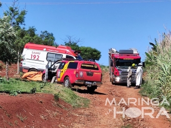 foto de Idoso é socorrido em estado grave após ser atacado por abelhas 