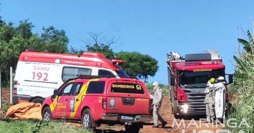 Idoso é socorrido em estado grave após ser atacado por abelhas 