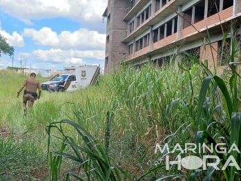 foto de Corpo em estado de decomposição é encontrado no interior de construção abandonada próximo ao HU de Maringá