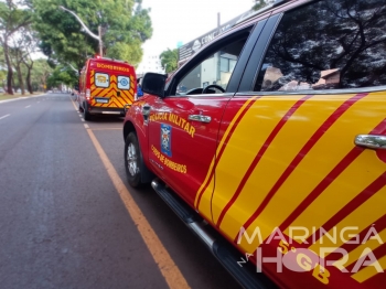 foto de Motorista sai de avenida e invade quintal de residência provocando destruição em Maringá