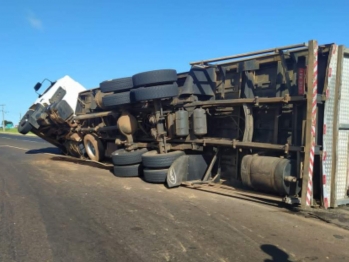 foto de Carreta trasportando porcos tomba na BR-376 no norte do Paraná