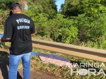 foto de Sem identificação: homem morre atropelado por carreta na PR-323