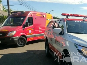 foto de Vídeo monstra momento em que caminhoneiro é atropelado por ônibus em Maringá