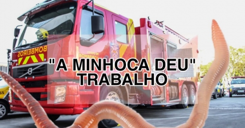 Mulher desesperada ao ver cobra aciona os bombeiros e quando eles chegam se deparam com uma minhoca no Paraná