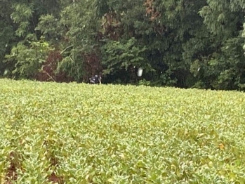 foto de Homem mata companheira a marteladas e genro ajuda a ocultar o corpo que é encontrado após cerca de 20 dias no Paraná