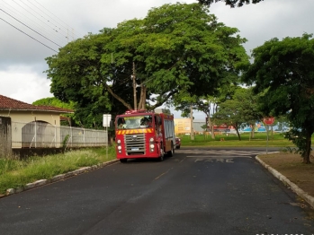 foto de Homem é atacado por abelhas no próprio imóvel em Maringá