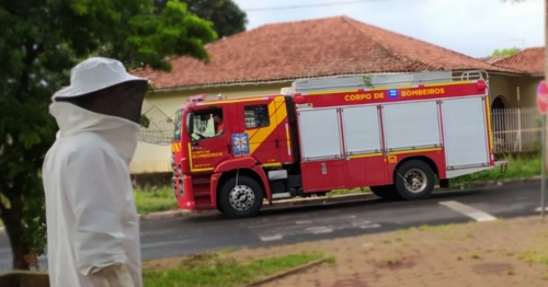 Homem é atacado por abelhas no próprio imóvel em Maringá