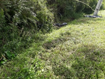 foto de Motociclista bate em poste e acaba sendo atacado por abelhas e morrendo no Paraná