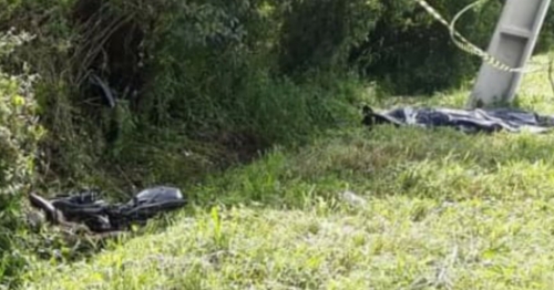 Motociclista bate em poste e acaba sendo atacado por abelhas e morrendo no Paraná