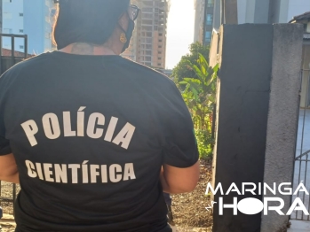 foto de Homem morre após cair de um pé de abacate em Maringá