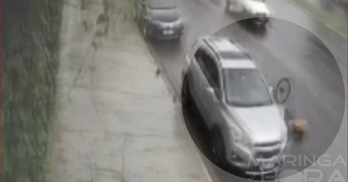 Veja momento em que ciclista bate com violência na traseira de carro estacionado em Maringá