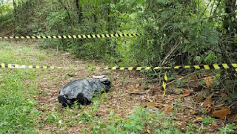 foto de Homem morre ao sofrer acidente violento em rodovia no Paraná