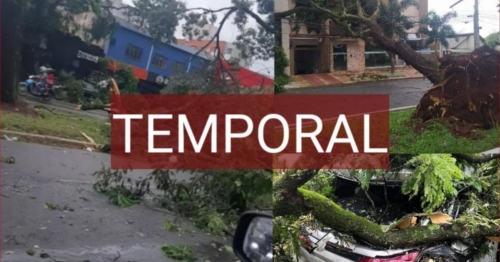 Temporal causa estragos em Maringá e região