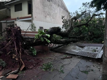 foto de Temporal causa estragos em Maringá e região