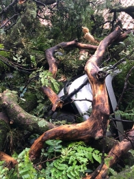 foto de Temporal causa estragos em Maringá e região