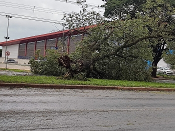 foto de Temporal causa estragos em Maringá e região