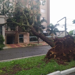 foto de Temporal causa estragos em Maringá e região