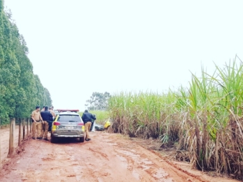 foto de Tiroteio entre policiais e ladrões termina na morte de dois criminosos no noroeste do Paraná