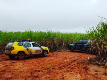 foto de Tiroteio entre policiais e ladrões termina na morte de dois criminosos no noroeste do Paraná