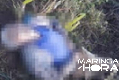 foto de Homem é encontrado morto na zona rural de Mandaguari