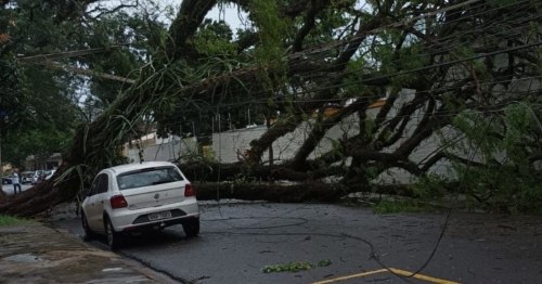 Temporal em Maringá causa estragos