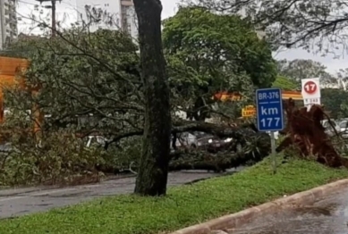 foto de Temporal em Maringá causa estragos