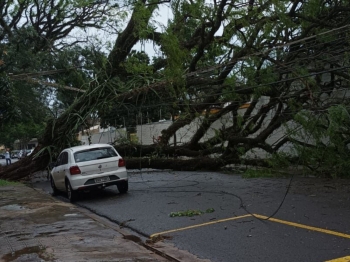 foto de Temporal em Maringá causa estragos