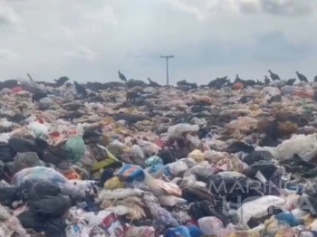 foto de Feto de 8 meses é encontrado dentro de saco em aterro sanitário no Norte do Paraná