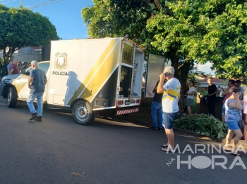 foto de Senhor vai fazer limpeza de terreno em Mandaguaçu e encontra jovem morto