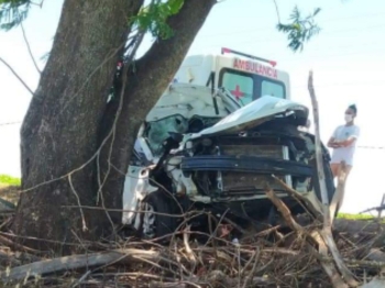 foto de Jovem morre ao bater carro contra árvore em rodovia no Noroeste do Paraná