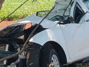 foto de Jovem morre ao bater carro contra árvore em rodovia no Noroeste do Paraná