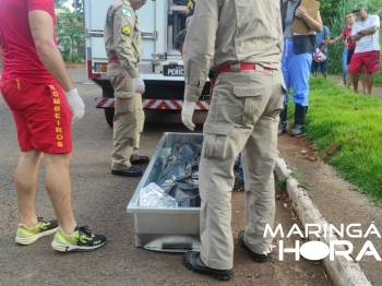 foto de Jovem de 19 anos morre após ser vítima de afogamento em Maringá