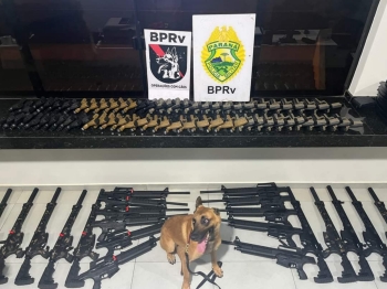 foto de Polícia apreende dezenas de armas no Noroeste do Paraná