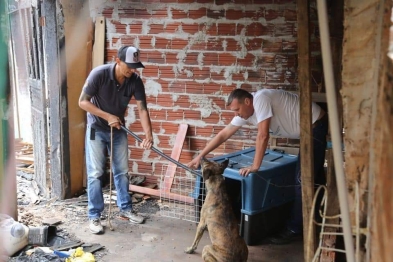 foto de Após denúncia, Prefeitura resgata animal abandonado em residência e multa tutor em R$ 2 mil