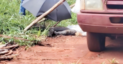 Rapaz morre após ser atingido por tronco de árvore enquanto trabalhava no Paraná