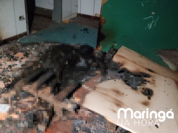 foto de Pessoa é encontrada morta com o corpo totalmente carbonizado dentro de colégio abandonado em Maringá