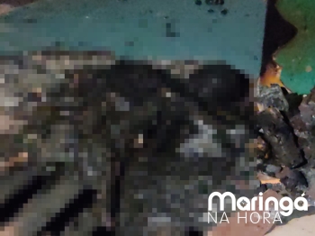 foto de Pessoa é encontrada morta com o corpo totalmente carbonizado dentro de colégio abandonado em Maringá